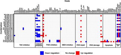 Synergistic effects of complex drug combinations in colorectal cancer cells predicted by logical modelling